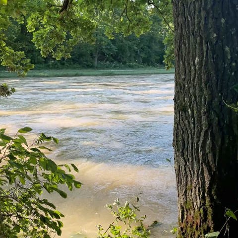 Die Iller auf Höhe des "Silberwald" in Ludwigsfeld, einem Teilort von Neu-Ulm. Eine in einem überschwemmten Wald vermisste Frau ist am Dienstag gefunden geworden. Sie saß 62 Stunden auf einem Baum.