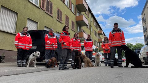 Hunde der DRK-Rettungshundebereitschaft UlmAlb-Donau mit Hundeführerinnen und Hundeführern. Spannung bei Mensch und Tier: Die DRK-Rettungshundebereitschaft UlmAlb-Donau ist bereit für das Training in einem Abrisshaus in der Nähe des Ulmer Hauptbahnhofs.