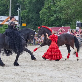 Zwei schwarze Pferde und zwei Frauen in Rüschenkleidern. Der Reit- und Fahrverein Röhlingen (Ostalbkreis) hat am Samstagabend (29.6.) mit einer "Nacht der Pferde" sein 100-jähriges Jubiläum gefeiert. Besucherinnen und Besucher konnten viele Facetten des Pferdesports erleben, darunter auch die Zirzensik.