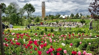 Grüne Karte für Schwäbisch Gmünd - dank der Landesgartenschau zählt sie zu den drei grünsten und am besten gegen Hitze gewappneten Städten in Baden-Württemberg. (Archivbild)