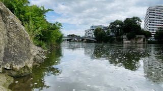 In Höhe der Herdbrücke wurde der 17-Jährige am Freitag zuletzt gesehen. Der Jugendliche wollte die Donau in Ulm schwimmend durchqueren, ging dabei aber unter und wurde seitdem nicht gefunden.