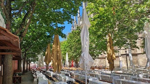 Das Weinfest auf dem südllichen Münsterplatz in Ulm ist noch bis zum 17.August täglich von 17 bis 23 Uhr geöffnet. Hier die Ruhe vor dem Ansturm.