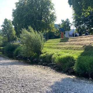 Am Jahnufer beim Edwin-Scharff-Haus gibt es schon Rasenstufen. Diese sollen neu modelliert und mit Betonsitzreihen mit Holz obendrauf aufgewertet. Das bisherige Uferprofil soll bestehen bleiben. Der Kies, den das Hochwasser angspült hat, muss für den Hochwasserschutz entfernt werden. In Ufernähe soll jedoch ein kleiner Kiesstrand entstehen. 