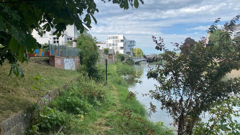 Auf der Donauinsel, am Schwal, soll auf Höhe des Spielplatzes ein Zugang zur Donau geschaffen werden. Die jetztige Mauer wird entfernt, stattdessen eine Treppenanlage mit Sitzstufen angelegt. 