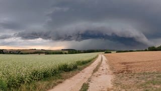 Eine Gewitterzelle ballt sich in Richtung Langenau zusammen (14.8.). Der Weg und die Felder im Vordergrund sind da noch trocken. Kurz darauf entlädt sich das Unwetter mit Hagel, Sturm und Starkregen: Bäume werden entwurzelt, Keller laufen voll, Autos werden von herunterfallenden Ästen verbeult. Im Alb-Donau-Kreis wurde, Stand jetzt, niemand verletzt.