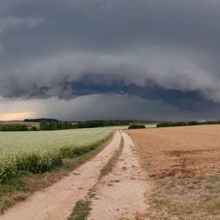 Eine Gewitterzelle ballt sich in Richtung Langenau zusammen (14.8.). Der Weg und die Felder im Vordergrund sind da noch trocken. Kurz darauf entlädt sich das Unwetter mit Hagel, Sturm und Starkregen: Bäume werden entwurzelt, Keller laufen voll, Autos werden von herunterfallenden Ästen verbeult. Im Alb-Donau-Kreis wurde, Stand jetzt, niemand verletzt.