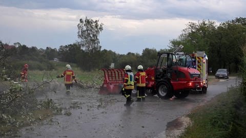 Umgestürzte Bäume, zerbeulte Autos, vollgelaufene Keller - nach dem Gewittersturm am Mittwochabend gibt es viel zu tun, vor allem in Langenau (Alb-Donau-Kreis).