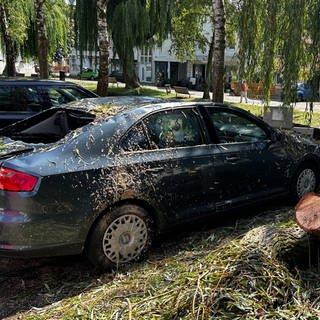 Große Schäden hat das Unwetter in Langenau (Alb-Donau-Kreis) angerichtet. 