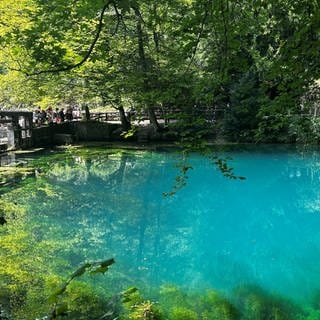 Auch der Rundweg um den Blautopf in Blaubeuren wird saniert: Er soll barrierefrei ausgebaut und damit für alle zugänglich werden. 