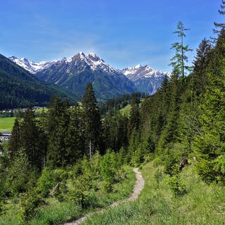 Der Blick auf die Lechtaler Alpen, im Vordergrund ein Wanderweg: In der Nähe des Ortes Schnall in Tirol in Österreichen haben Rettungskräfte einen Wanderer aus dem Kreis Neu-Ulm tot aufgefunden (Symbolfoto).