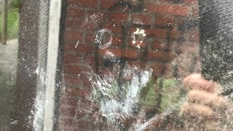 Der Abdruck in Vogelform auf einer Fensterscheibe der Ulmer Friedrichsauschule zeigt eindeutig, dass hier ein Vogel verendet ist.