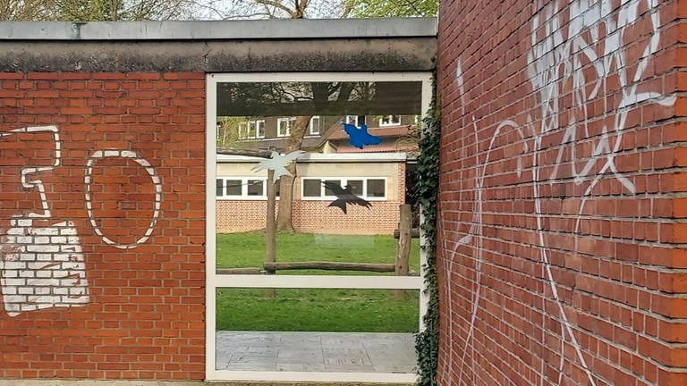 Gegen den Vogelschlag sind auf einer Scheiber der Ulmer Friedrichsau Schule große Kleber in Vogelform angebracht - gebracht hat es nichts. 