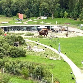 Der ehemalige Archäopark Vogelherd in Niederstotzingen wird möglicherweise zum Kindergarten. 