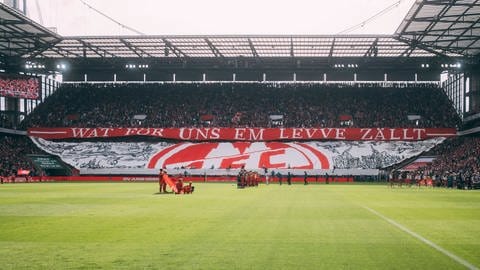 Tribüne im RheinEnergie Stadion in Köln - der 1. FC empfängt am Wochenende den SSV Ulm 1846. 