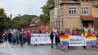 Mehr als tausend Menschen demonstrierten am Wochenende gegen den AfD-Parteitag in Ulm.