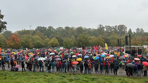 Tausende Menschen demonstrierten am Wochenende gegen den AfD-Parteitag in Ulm.