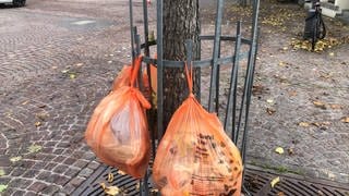 Diese Biobeutel am Schutzzaun für einen Baum in Aalen wurden von der GOA nicht mitgenommen und blieben hängen. Denn sie waren nicht ordnungsgemäß in einer der neuen Tonnen für Biobeutel verstaut.