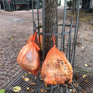 Diese Biobeutel am Schutzzaun für einen Baum in Aalen wurden von der GOA nicht mitgenommen und blieben hängen. Denn sie waren nicht ordnungsgemäß in einer der neuen Tonnen für Biobeutel verstaut.