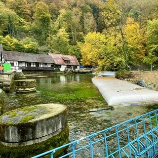 Baugeräte, Rohre, ein blauer Zaun und im Hintergrund die Hammerschmiede am Blautopf: Mit einem offiziellen Spatenstich hat am MIttwochnachmittag die Sanierung des Blautopf-Areals in Blaubeuren begonnen.