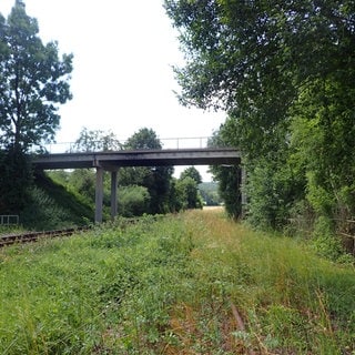 Eine Brücke über Bahngleise im Grünen: Die marode Brücke bei Blaustein: Die darunter verlaufende Bahnstrecke, auf der Züge zwischen Ulm und Blaubeuren pendeln, musste gesperrt werden. 