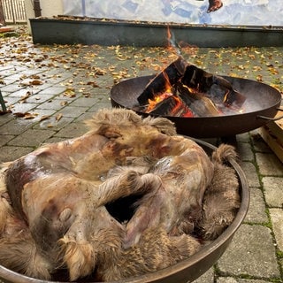 Im Vordergrund sind Tierhäute in einer Schale zu sehen, in Hintergrund brennt ein Feuer in einer Schale. 