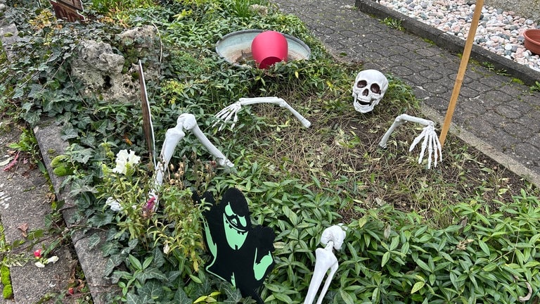 Ein falsches Skelet ragt aus einem Beet: In Oberdischingen im Alb-Donau-Kreis ist es nicht zu übersehen: Halloween rückt näher. Mit kreativen Deko-Ideen ist ein Haus mitten in der Gemeinde schaurig-gruselig geschmückt (20.10.). 