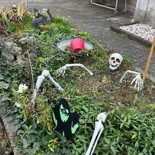 Ein falsches Skelet ragt aus einem Beet: In Oberdischingen im Alb-Donau-Kreis ist es nicht zu übersehen: Halloween rückt näher. Mit kreativen Deko-Ideen ist ein Haus mitten in der Gemeinde schaurig-gruselig geschmückt (20.10.). 