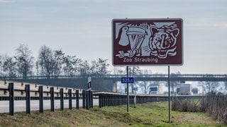 Schild zum Zoo Straubing: Hinweistafeln zu touristischen Attraktionen kosten viel Geld. 