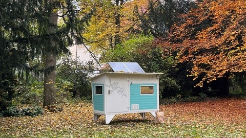 Ein weiß-blaues, kleines Holzhäuschen mit Solardach: wieder da, hier auf dem Alten Friedhof. 