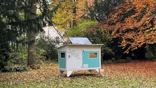 Ein Ulmer Nest steht auf einer Wiese in einem Park: Die kleinen Häuschen sollen obdachlosen Menschen im Winter Schutz vor Kälte bieten.