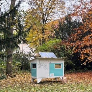 Ein Ulmer Nest steht auf einer Wiese in einem Park: Die kleinen Häuschen sollen obdachlosen Menschen im Winter Schutz vor Kälte bieten.