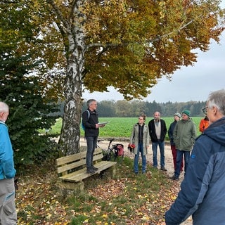 Martin Ruff vom Ulmer Klimanetz steht auf einer Bank neben einem Baum. Vor ihm einige der Personen, an dem Spaziergang durch das Waldgebiet Großer Gehrn bei Ulm-Jungingen teilgenommen haben, in dem vielleicht bald Windräder gebaut werden. 