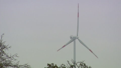 Ein Windrad bei trübem Wetter. Das Ulmer Klimanetz kämpft dafür, dass bald in einem Waldgebiet bei Jungingen ein Windpark entsteht.