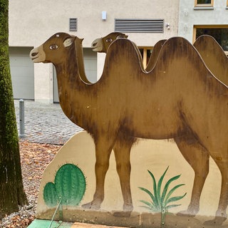 Der Aufbau des Weihnachtsmarktes am südlichen Münsterplatz in Ulm hat begonnen - und da sind dann auch die Kamele der Heiligen Drei Könige zu sehen. Am 25. November wird der Weihnachtsmarkt eröffnet. 