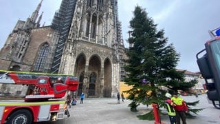 Weihnachstbaum steht vor dem Münster in Ulm.