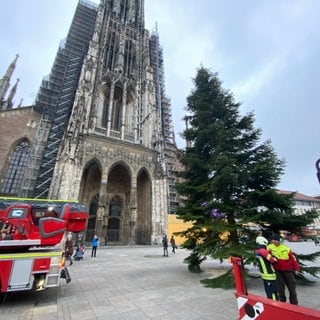 Weihnachstbaum steht vor dem Münster in Ulm.