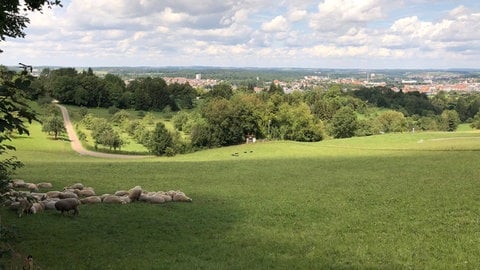 Wandern in BW: Eine Idylle mit herrlichem Ausblick, das bietet der Aalener Panoramaweg.