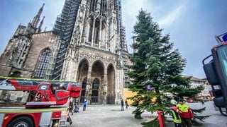 Weihnachstbaum steht vor dem Münster in Ulm. Als nächstes wird der Weihnachtsmarkt 2024 aufgebaut.