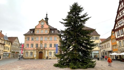 Auf dem Marktplatz in Schwäbisch Gmünd steht jetzt eine zwölf Meter hohe Nordmanntanne. 