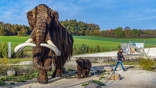 Das Archäopark-Gelände in der Nähe von Niederstotzingen ist geschlossen. Aber der Status des Welterbes ist nicht in Gefahr, sagt die Unesco.