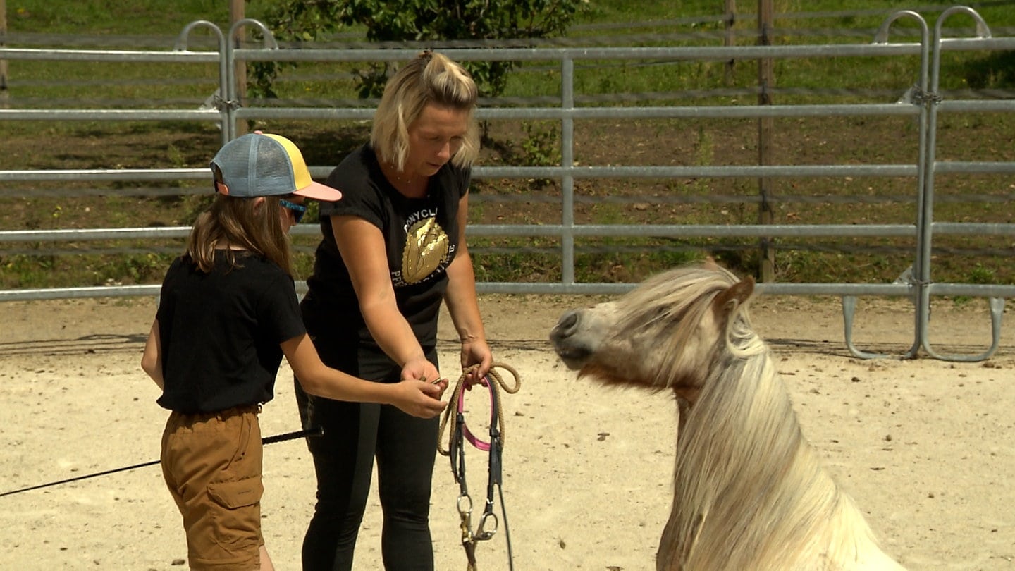 Eine Frau und ein Kind kümmern sich um ein Pony. In ihrem Element: Monika Sekler auf ihrem Ponyhof am Ortsrand von Lauchheim. Für die Kinder geht es mehr als 