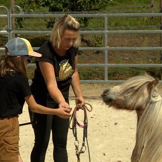 Eine Frau und ein Kind kümmern sich um ein Pony. In ihrem Element: Monika Sekler auf ihrem Ponyhof am Ortsrand von Lauchheim. Für die Kinder geht es mehr als "nur" auf Ponys zu reiten. Umso schlimmer der Streit, der das Aus bedeuten könnte.