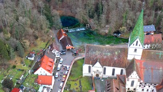 Eine Aufnahme von einer Drohne zeigt die Baumfällarbeiten am Blautopf in Blaubeuren (Alb-Donau-Kreis).