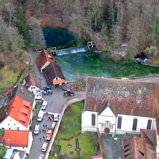 Eine Aufnahme von einer Drohne zeigt die Baumfällarbeiten am Blautopf in Blaubeuren (Alb-Donau-Kreis).