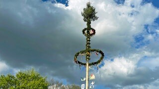 Geschmückter Maibaum in Neu-Ulm Ludwigsfeld. Kundgebung der besonderen Art: Der geschmückte Maibaum in Neu-Ulm Ludwigsfeld steht schon - die Feiern können beginnen.