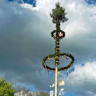 Geschmückter Maibaum in Neu-Ulm Ludwigsfeld. Kundgebung der besonderen Art: Der geschmückte Maibaum in Neu-Ulm Ludwigsfeld steht schon - die Feiern können beginnen.