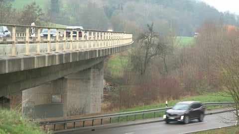 Rund um die Kochertalbrücke zwischen Ober-und Unterkochen bei Aalen gibt es Hecken und Wiesen. Dort lebt die Haselmaus. Sie ist EU-rechtlich geschützt.