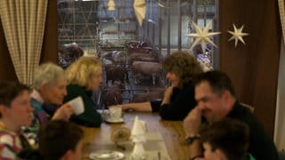 Im Café auf dem Q-Hof in Frickingen sitzen die Gäste praktisch direkt neben den Kühen. Der Bauernhof geht ständig neue Wege um Gäste anzulocken.