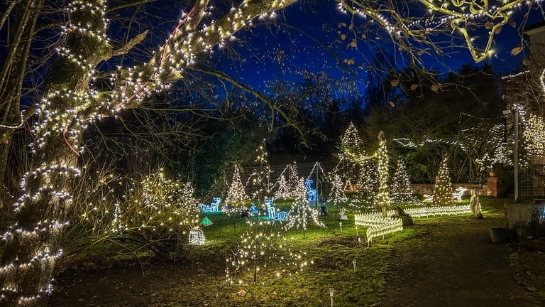 Auffällige und schöne Weihnachtsbeleuchtung an der B311 in Ulm-Einsingen