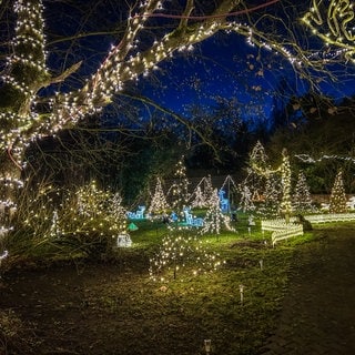 Auffällige und schöne Weihnachtsbeleuchtung an der B311 in Ulm-Einsingen